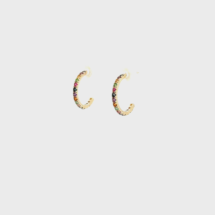 Amuleto Onze Earrings